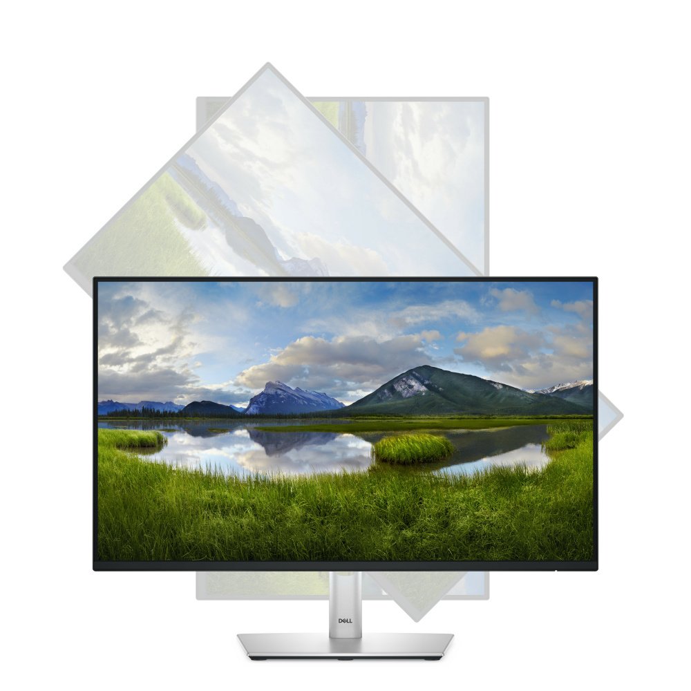 Dell 24" Monitor