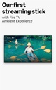 Amazon Fire TV Stick 4K Max
