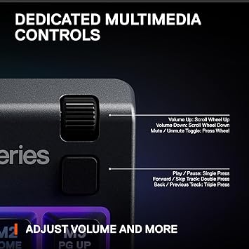 SteelSeries Apex 3 TKL RGB Gaming Keyboard