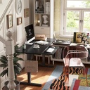BANTI Height Adjustable Electric Standing Desk