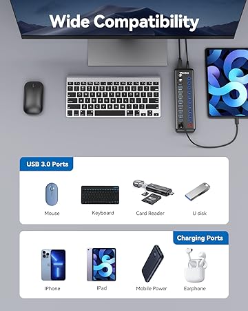 Powered USB Hub, Wenter 11-port USB Splitter (10 faster)