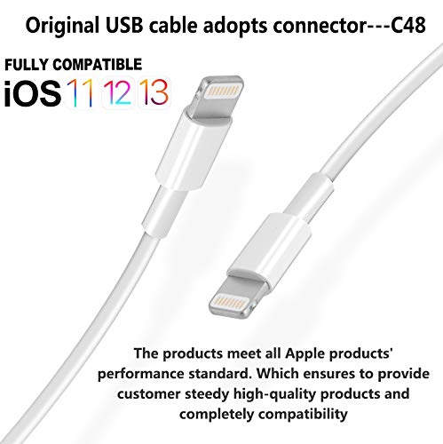 USB-A to Lightning iPhone Charging Cable