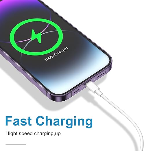 USB Type-C to C Charging Cable (3m)