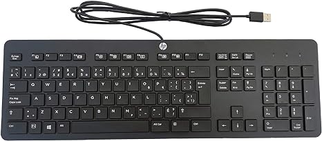HP SK-120 Full-Size keyboard