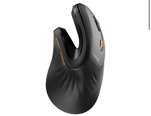 ProtoArc Ergonomic Mouse - EM11 NL